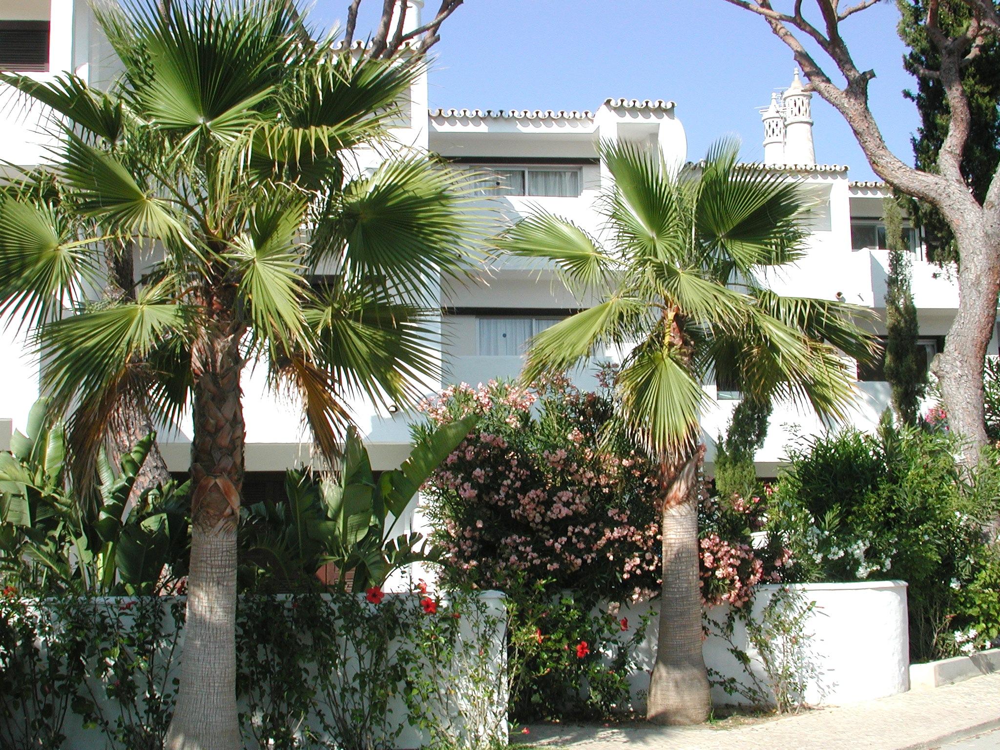 Vale Do Garrao Villas Almancil Εξωτερικό φωτογραφία