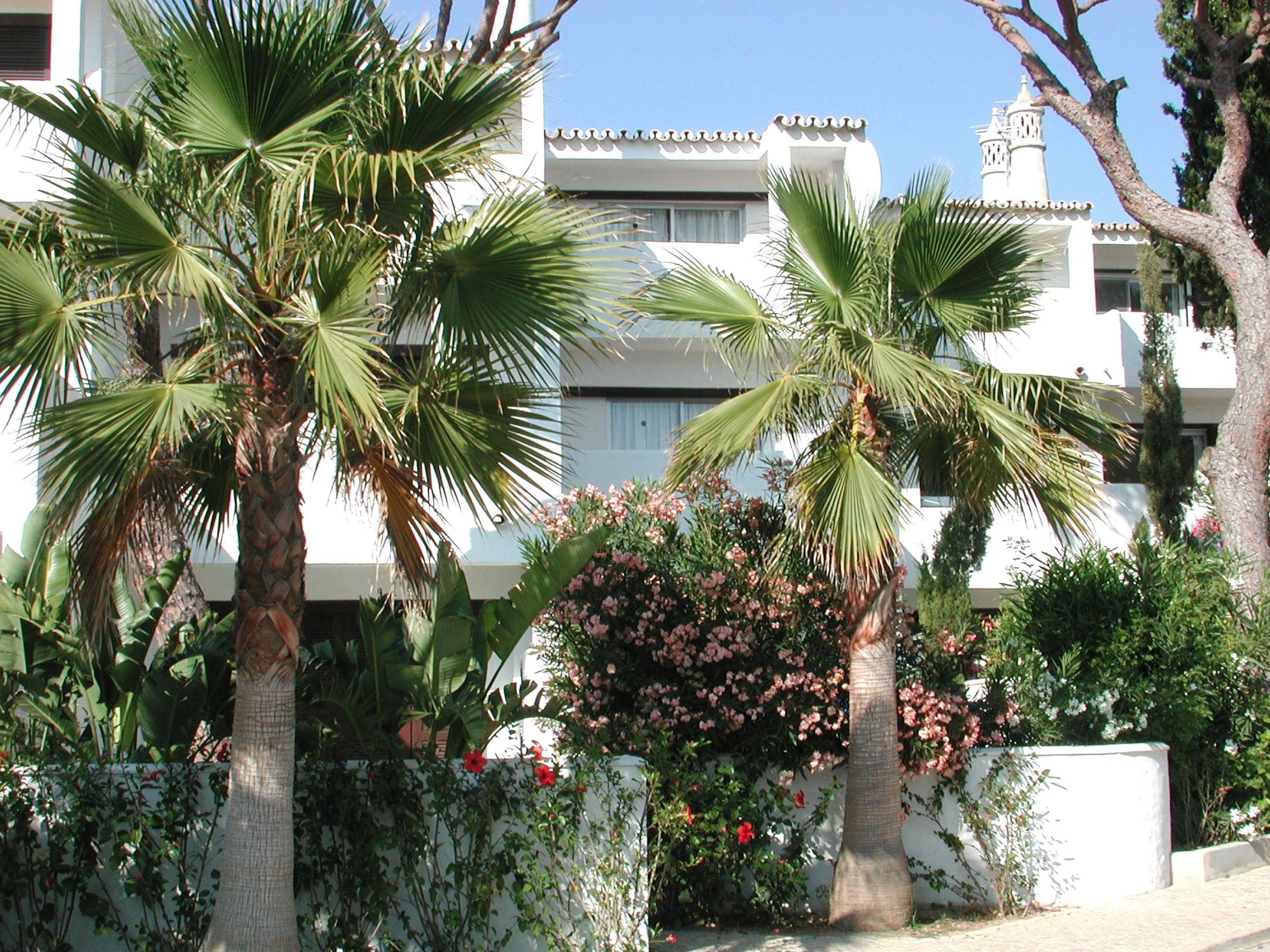 Vale Do Garrao Villas Almancil Εξωτερικό φωτογραφία