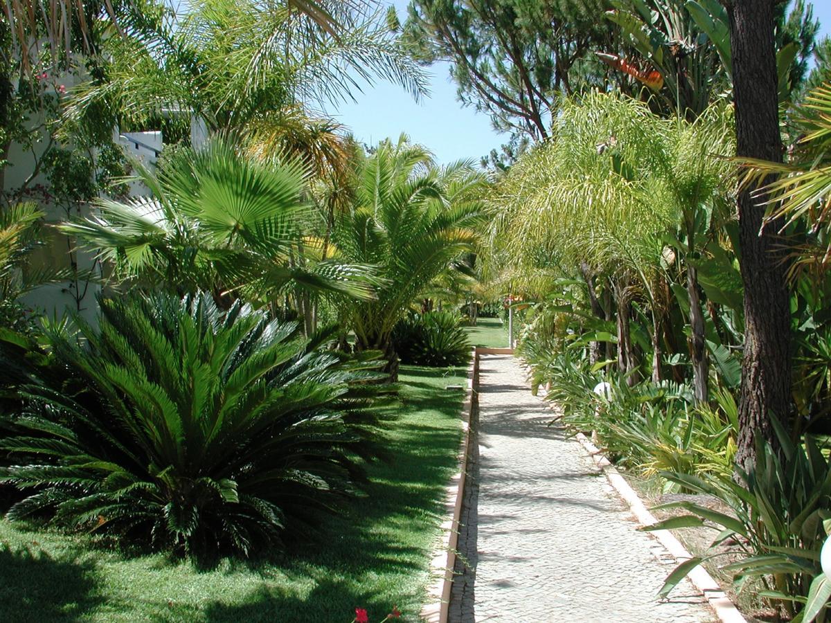 Vale Do Garrao Villas Almancil Εξωτερικό φωτογραφία